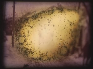 Barbarossa, 2002 (Projektor wideo i symulowany rzutnik slajdów) autorstwa Mat Collishaw