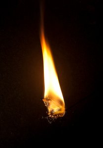 Burning Butterfly 3, 2013 (druk Lambda)