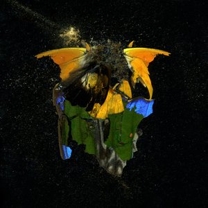 Insecticide 14, 2009 (zdjęcie typu C)