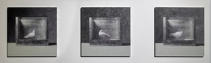 Komora warunkowania operacyjnego 3, 2022 (olej na panelu aluminiowym) autorstwa Mat Collishaw