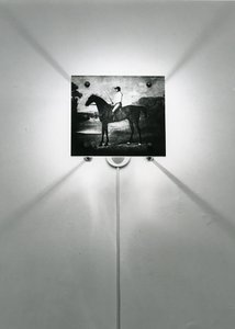Stubbs Horses autorstwa Mat Collishaw