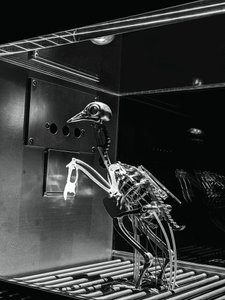The Machine Zone, 2019 (stal, aluminium, serwomotory) autorstwa Mat Collishaw
