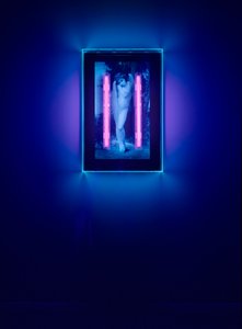 Ultraviolet Angel, 2008 (tusz ultrafioletowy na pudełku z pleksiglasu, 2 neony ultrafioletowe) autorstwa Mat Collishaw