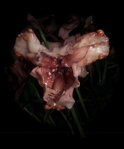 Venal Muse, Viridor, 2012 (żywica, emalia, drewno, szkło, stal) autorstwa Mat Collishaw