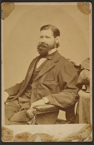 Thomas Davidson Jr. autorstwa Mathew B. Brady