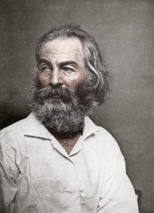 Walt Whitman, poeta amerykański, ok. 1880 r.