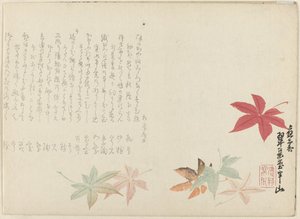 klon japoński autorstwa Matsukawa Hanzan