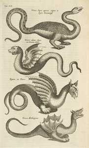 Zakładka XII, Mityczne stworzenia, Smoki, Ilustracja z „Historii naturalnej czworonogów”