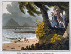 „Egipcjanie, łapanie krokodyli”, 1813 autorstwa Matthew Dubourg