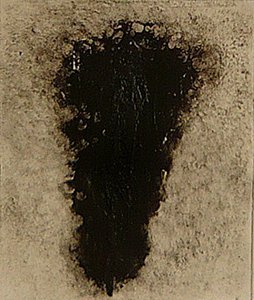 ossie, 2009 (helioprint) autorstwa Matthew Hilton
