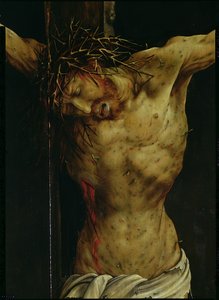 Ukrzyżowanie z Ołtarza Isenheima, fragment torsu Chrystusa, ok. 1512-16 olej na fragmencie panelu