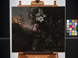 Martwa natura (olej na płótnie) autorstwa Matthias Withoos