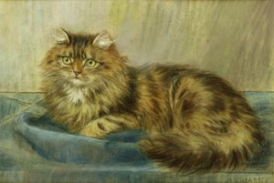 Kot perski pastel autorstwa Maud D. Heaps