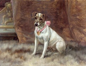 Różowy łuk, 1898