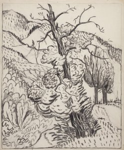 Drzewo na zboczu góry, ok. 1930 (pędzel, tusz i węgiel na białym papierze) autorstwa Maud Hunt Squire