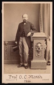 Portret Othniela Charlesa Marsha 1831-1879, 1866.
