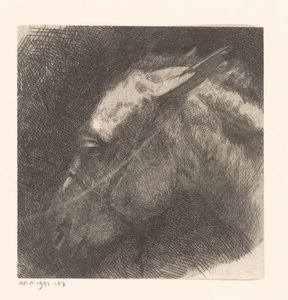 Głowa muła autorstwa Maurits van der Valk