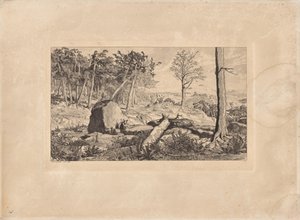 Simplicius w leśnej głuszy (tablica X), z Intermezzi. Akwaforty, op. IV. 12 kompozycji autorstwa Max Klinger