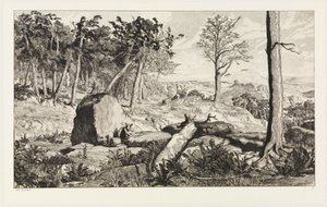 Simplicius w leśnej głuszy (Intermezzi, opus IV, plansza 10) autorstwa Max Klinger