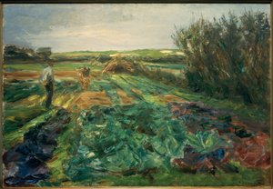 Das Kohlfeld (Kohlfeld w Noordwijk) autorstwa Max Liebermann