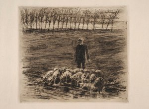 Stado owiec przy wodopoju autorstwa Max Liebermann