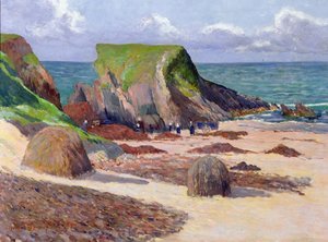 Zbiór wodorostów, 1891