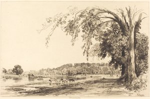 Richmond autorstwa Maxime Lalanne