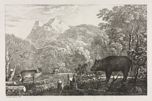 Dzik, Żbik i Ryś autorstwa Maximilian Josef Wagenbauer