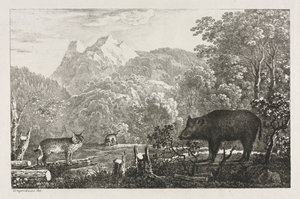 Dzik, żbik i ryś, 1807. autorstwa Maximilian Josef Wagenbauer