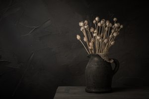 Ciemna martwa natura z makówką autorstwa Mayra Pama
