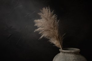 Ciemna rustykalna pampa autorstwa Mayra Pama
