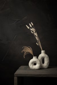 Organiczne wazony z suszonymi roślinami autorstwa Mayra Pama