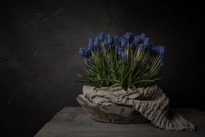 Rustykalne niebieskie kwiaty autorstwa Mayra Pama