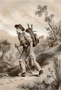Koparka na włóczędze, Australia, 1879.