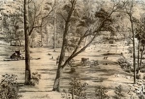 Wolna chata selektora, Australia, 1879