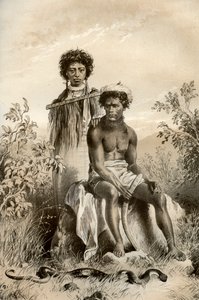 Maorysi i wąż dywanowy, Nowa Zelandia, 1879