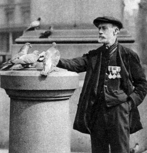 Stary żołnierz z kilkoma gołębiami, Trafalgar Square, Londyn, 1926-1927. autorstwa McLeish