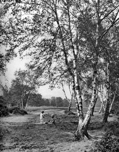 Putney Heath, Londyn, 1926-1927 autorstwa McLeish
