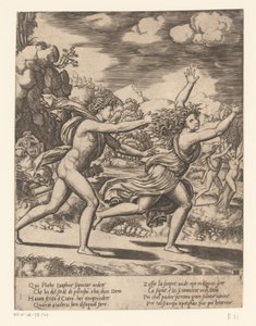 Apollo goni Daphne Historia Apollo i Daphne (tytuł serii)