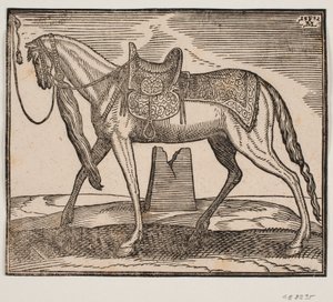 Elegancki, osiodłany koń, uwiązany v. linią obramowania, profil do v.; pod brzuchem konia widać zrujnowany