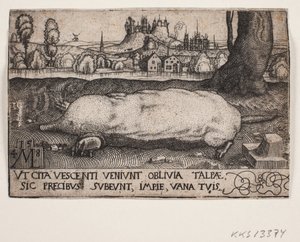 Kret autorstwa Melchior Lorck