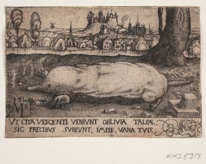 Kret autorstwa Melchior Lorck
