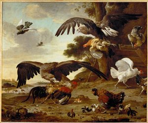 Orły atakujące kurczaki ... autorstwa Melchior de (manner of) Hondecoeter
