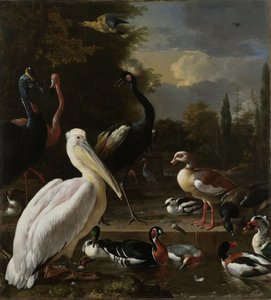 Pelikan i inne ptaki w pobliżu sadzawki, znane jako „pływające pióro”, ok. 1680