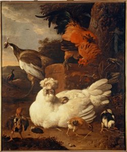 M. de Hondecoeter, matka kura z pisklętami autorstwa Melchior de Hondecoeter