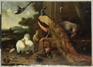 Bunt podczas przewrotu drobiu autorstwa Melchior de Hondecoeter