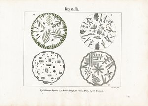 Formy krystaliczne różnych soli autorstwa Meno Haas