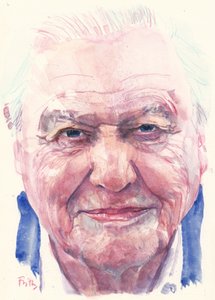 Sir David Attenborough (akwarela)