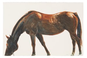 Bez tytułu, 2018 (akwarela na papierze) autorstwa Michael Frith