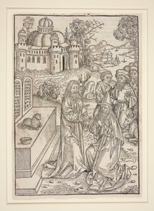 Strona od Stephana Fridolina, Skarbnika (Norymberga: Anton Koberger, 1491) autorstwa Michael Wolgemut